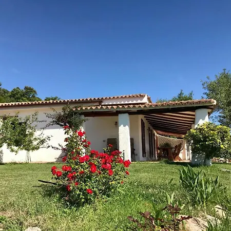 Villa Rosi Ruj *